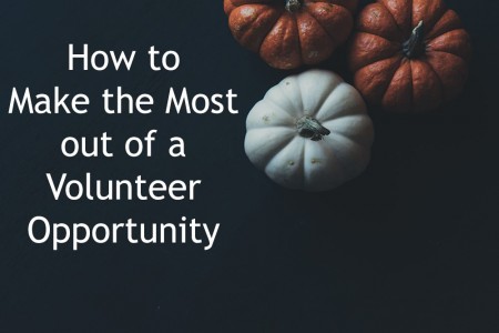 How to Make the Most Out of a Volunteer Opportunity