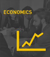 Economics Program Icon