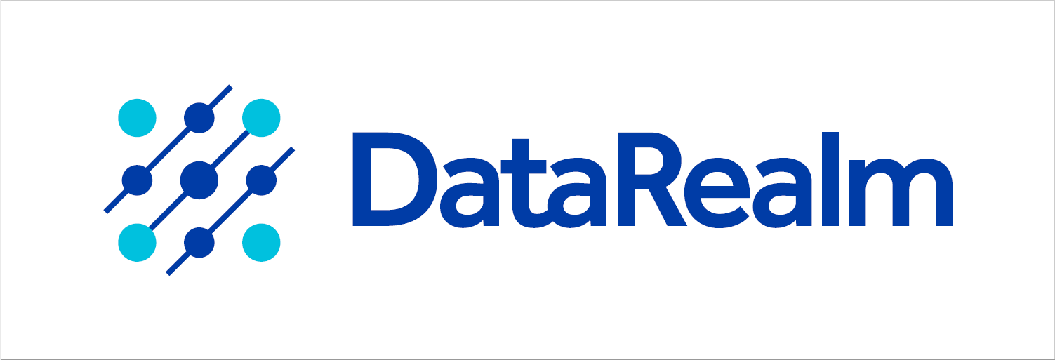 DataRealm Logo