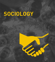 Sociology Program Icon