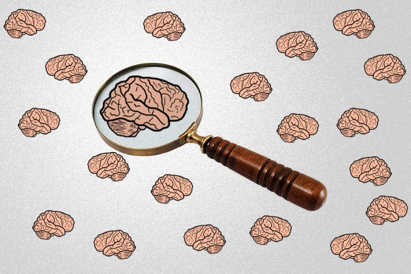 maginifying scrutinizing brains, symbolizing executive search