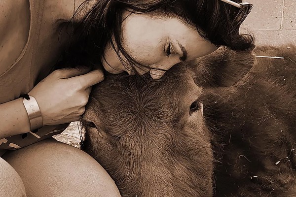 Woman embracing cow