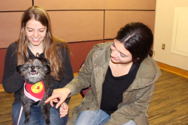 Students pet Maya, the friendly dog of Therapeutic Paws of Canada. 