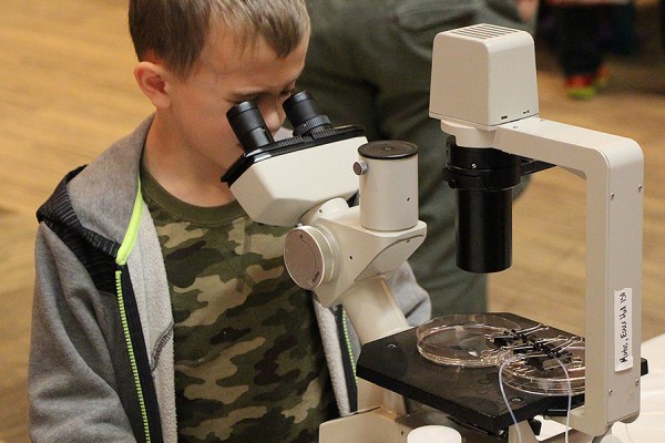 kid peering into a microscope