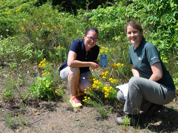 Participants use the iNaturalist app to share their nature sightings during a Bioblitz. Point Pelee National Park is hosting a Bioblitz on July 21 and 22.