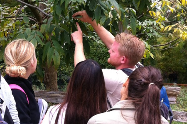 Jeff Buckley shows students how to identify tree species by the veins on their leaves