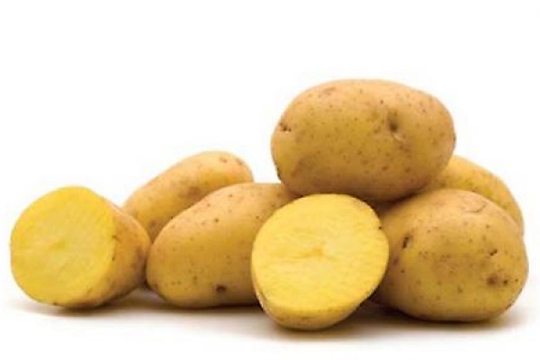 Yukon Gold potatoes