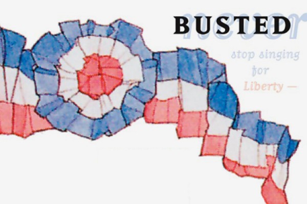 cover of "Busted"