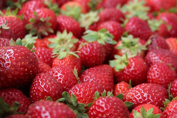 flat of shiny local strawberries
