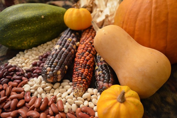 corn, beans, and squash