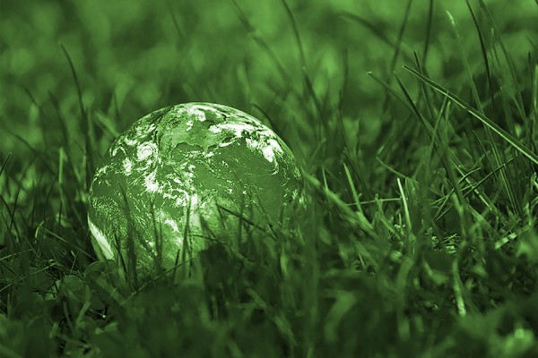 globe nestled in grass