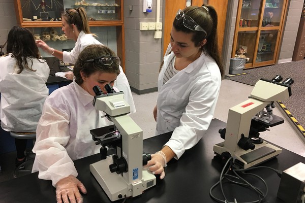 Aubrey Hiuser tries out a microscope during hands-on learning in the summer BioCamp.