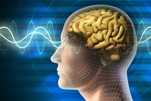 graphic of brain showing biofeedback