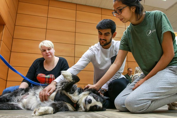 students petting friendly dog