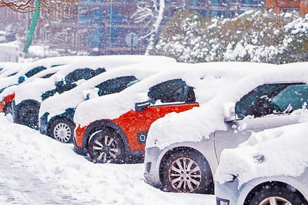 cars covered in snow