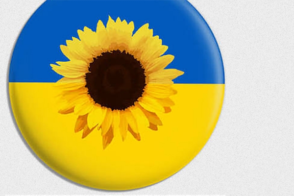sunflower in colours of Ukrainian flag