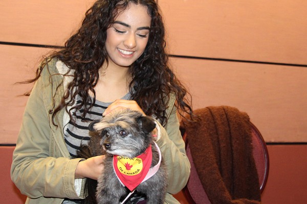 Yumna Kashif pets trained de-stressor Mya, a Pomeranian mix.