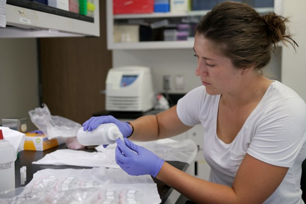 York University&#039;s Sarah Laframboise prepares glass vials to be used in the sampling of water across Essex County on Aug. 19, 2017. The biomedical science student and Windsor native is assisting in the sample collection.