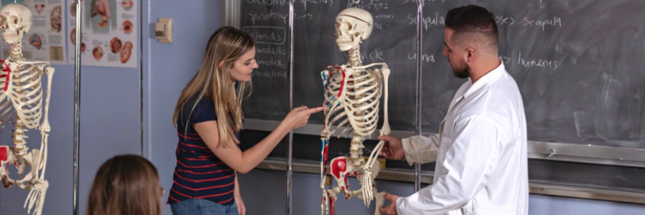 PDH students teach an undergrad anatomy class