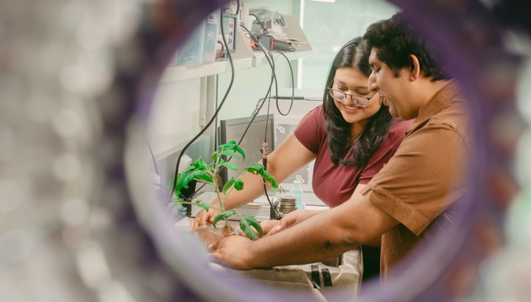 Physics lab students conducting research