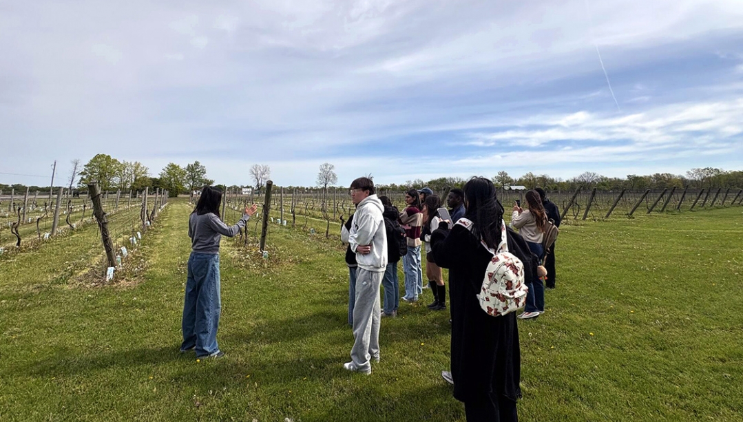 Master of Management program students with Jean Qian in vineyard