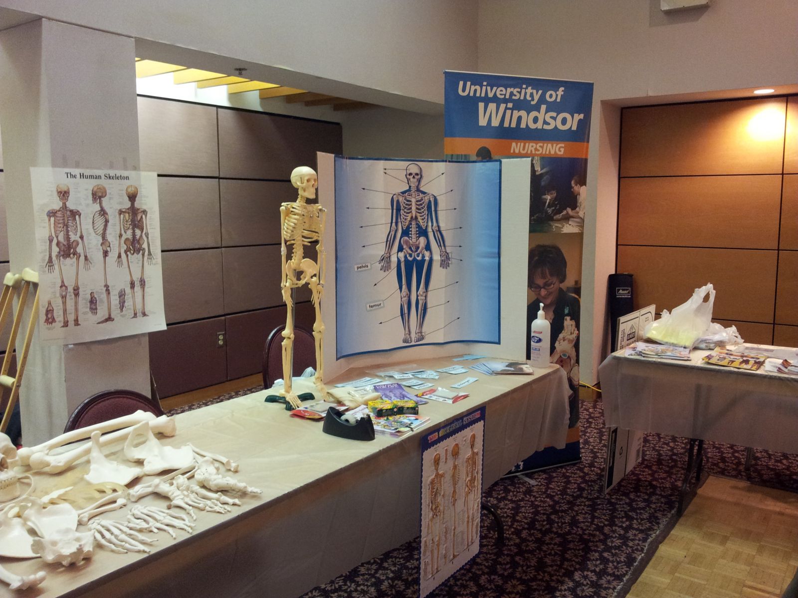 nursing display - other view