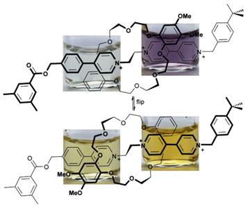 Colour coding the co-conformations of a [2]rotaxane flip-switch