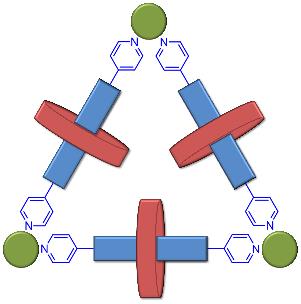 From Binuclear Complexes