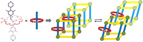 Metal-Organic Frameworks with Mechanically Interlocked Pillars