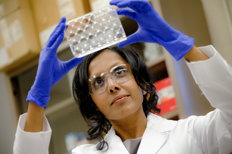 Dr. Charu Chandrasekera is seen in her lab holding 3D ioprinted tissue.