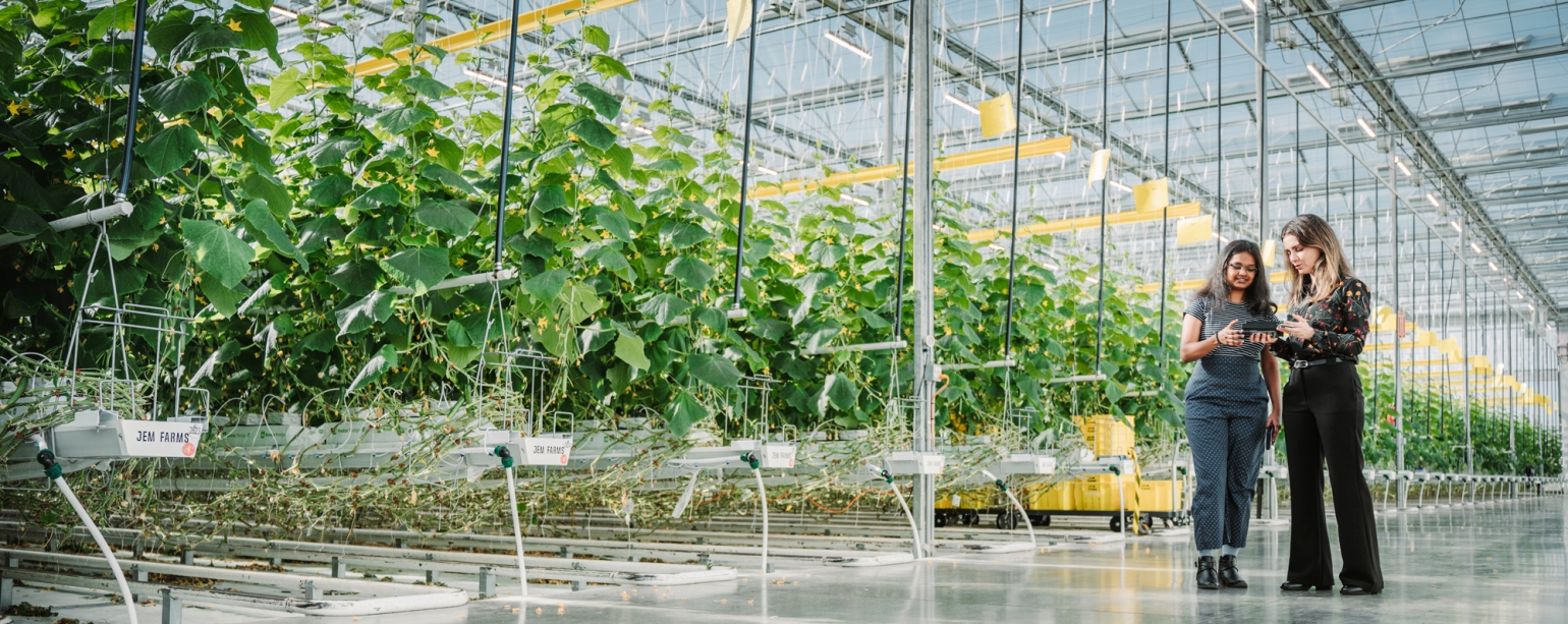 UWindsor’s record-breaking results in the 2026 Times Higher Education rankings highlight its global leadership in research, innovation and hands-on learning.