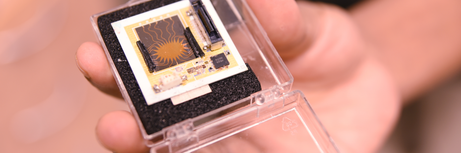 image of microchip sensor