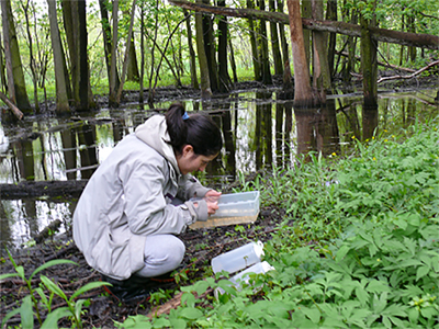 Great Lakes Institute for Environmental Research Student