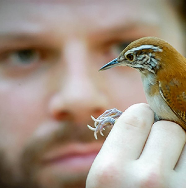 Dan Mennill holding wren