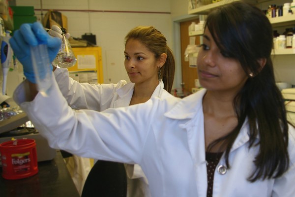 Undergraduate Students in the lab.