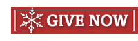 Give now button