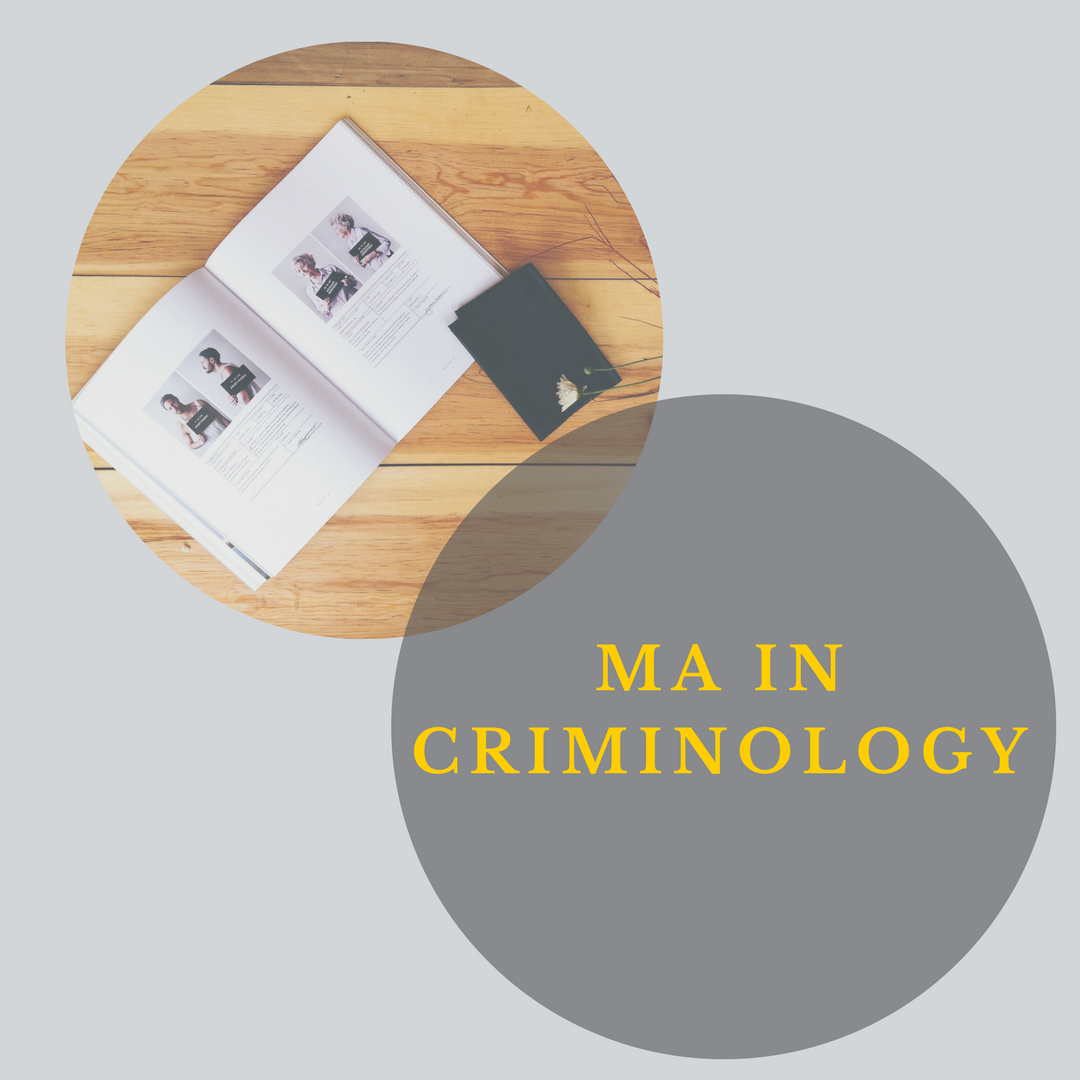 MA Criminology Graphic link