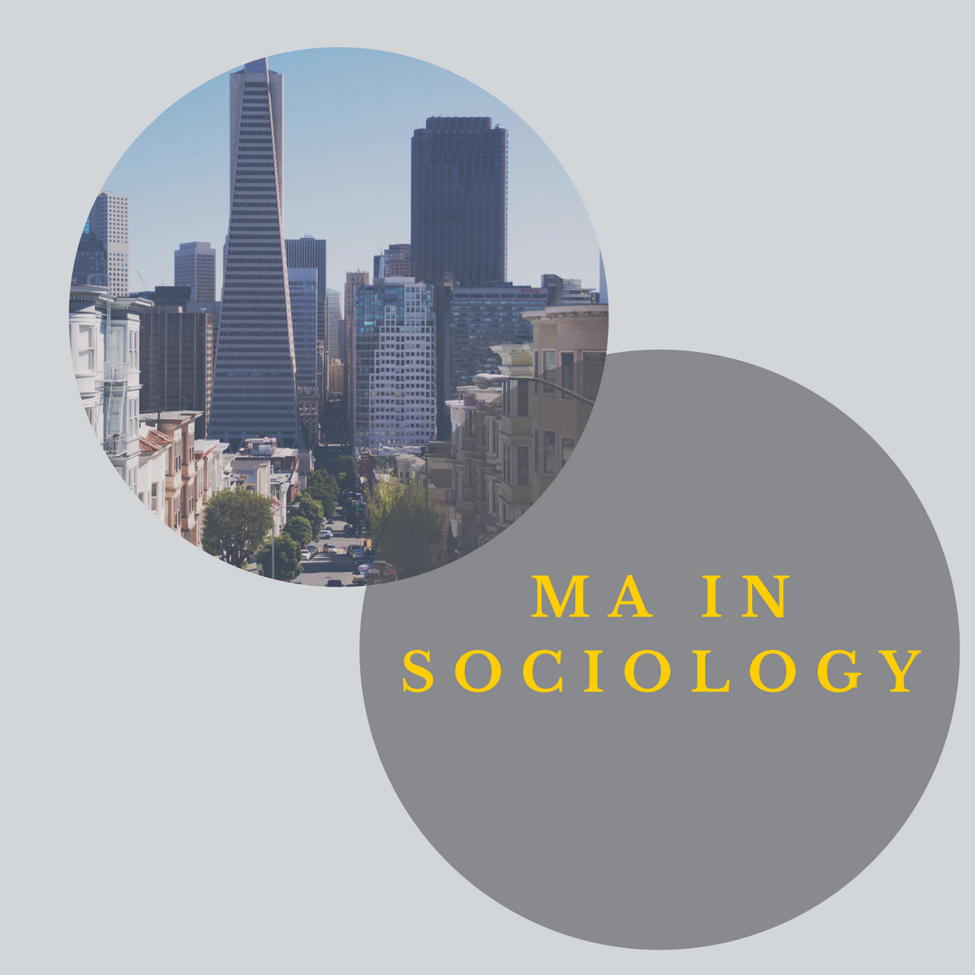 MA Sociology Graphic link