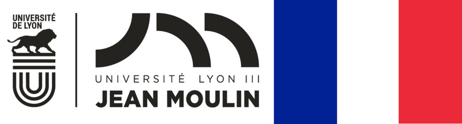 Lyon 3 logo and France flag