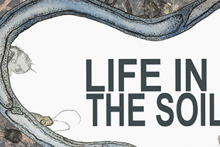 Life in the Soil Workshop banner