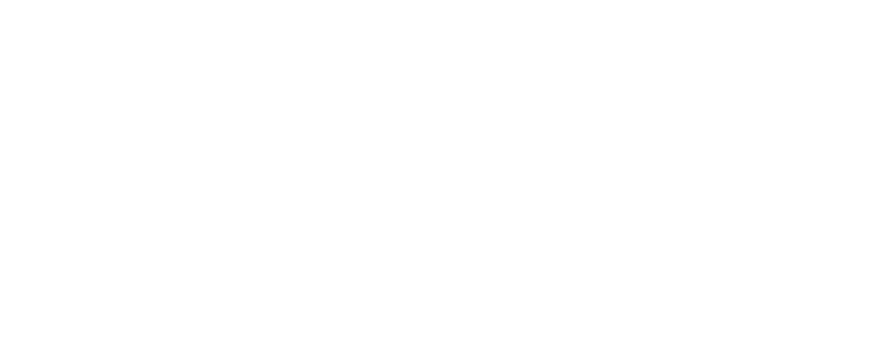 The Bystander Initiative logo in white text