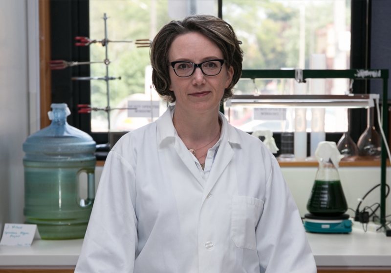 Arts professor Jennifer Willet has been awarded a Canada Research Chair in Art, Science and Ecology. photo by Josh Babcock