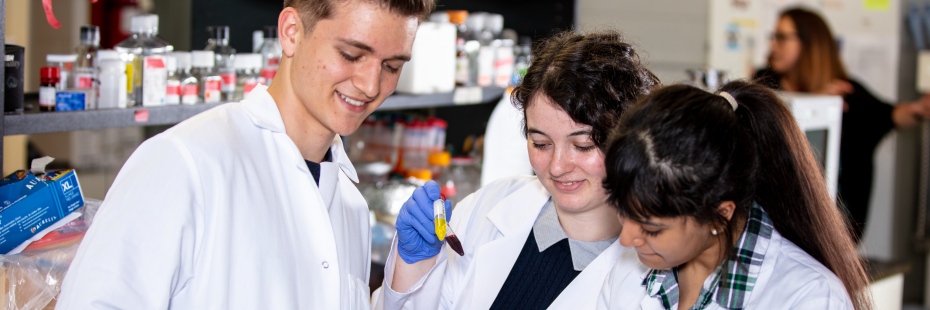 Students working in a lab
