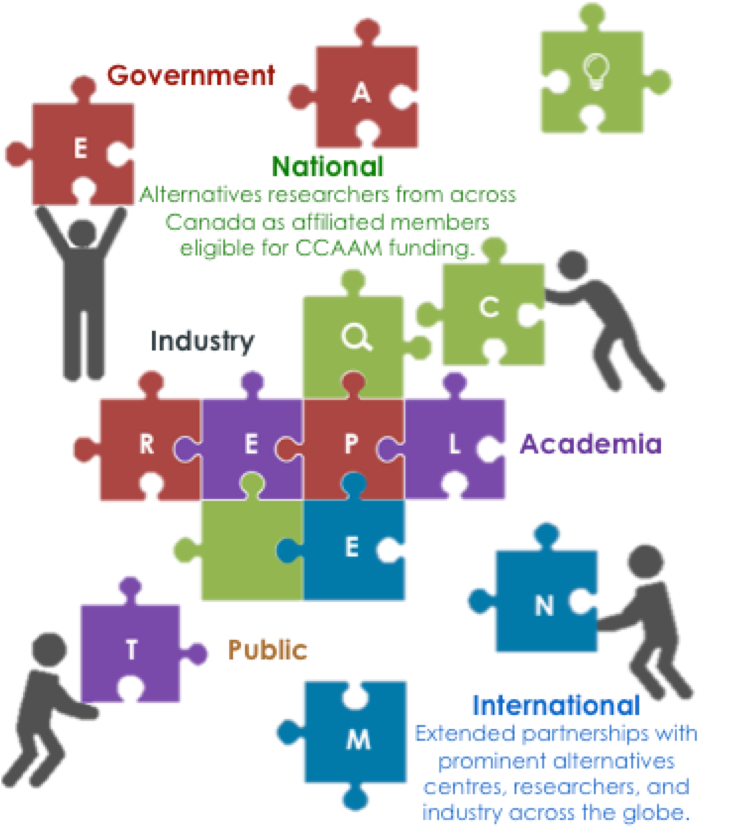 Alternate researchers from across Canada as affiliated members eligible for CCAAM funding. Extended partnerships with prominent alternative centres, researchers, and industry across the globe.