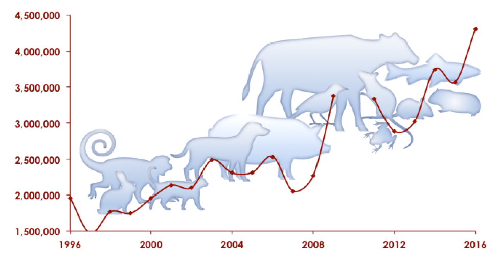 Graph showcasing animal numbers from 1996 - 2016