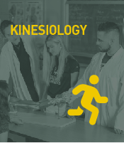 Kinesiology Program Icon