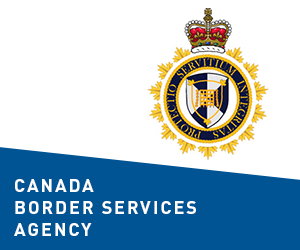 Пограничные войска вектор. Border service. Охрана баннер. Пограничные войска вектор. Cbsa.