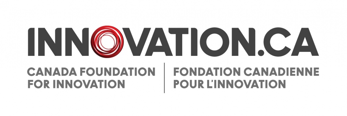INNOVATION logo