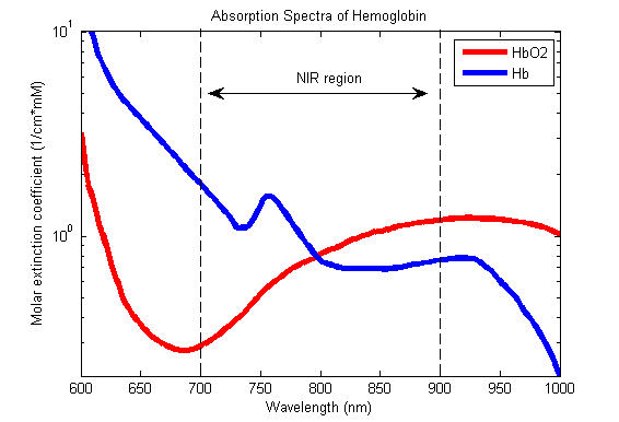 Absorption spectra of hemoglobin. Oxygenated and deoxygenated blood absorb light at different levels