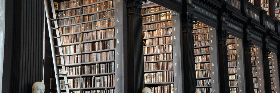 Rows of library shelves decorated with marble busts.